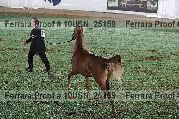 Proof 10usn_25159