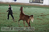 10usn_25159 proof