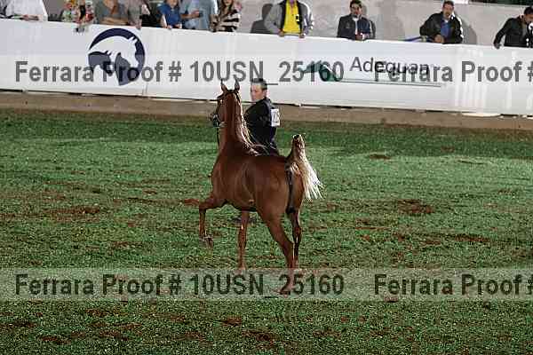 Proof 10usn_25160