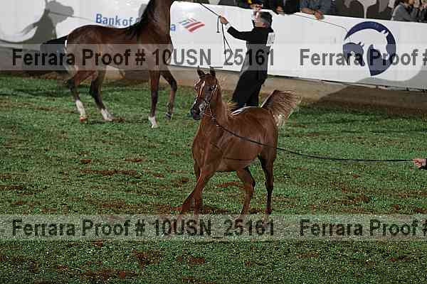 Proof 10usn_25161