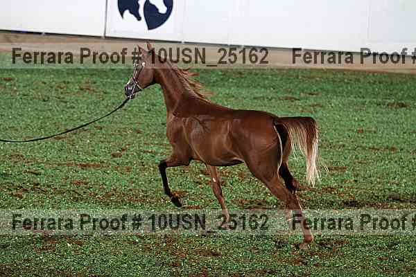 Proof 10usn_25162