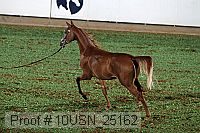10usn_25162 proof