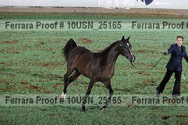 Proof 10usn_25165