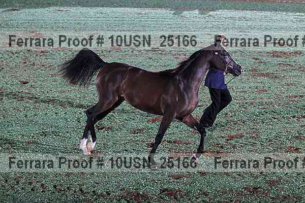 Proof 10usn_25166