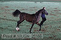10usn_25166 proof
