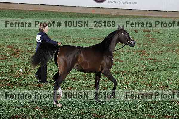 Proof 10usn_25169