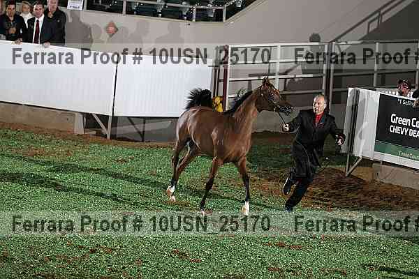 Proof 10usn_25170