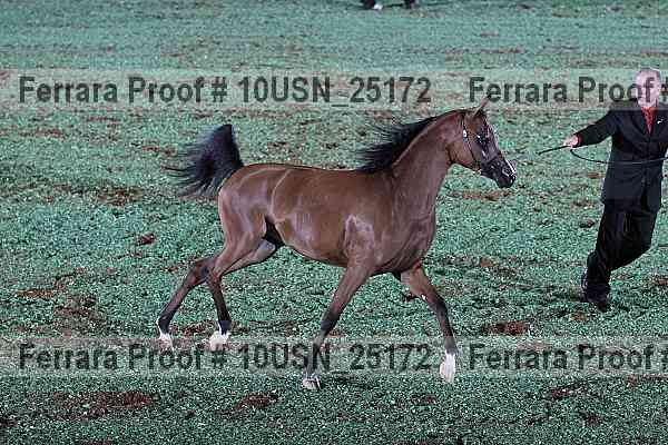Proof 10usn_25172