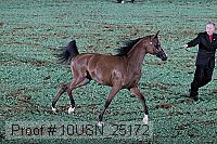 10usn_25172 proof