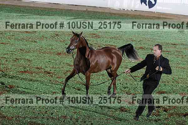 Proof 10usn_25175