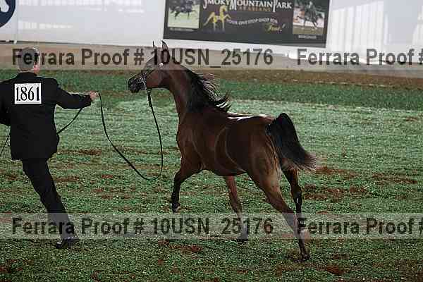 Proof 10usn_25176