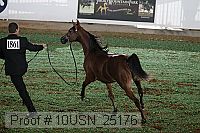 10usn_25176 proof