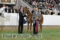 10usn_25181 proof