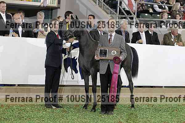 Proof 10usn_25185