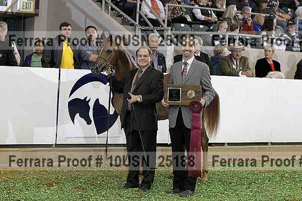 Proof 10usn_25188