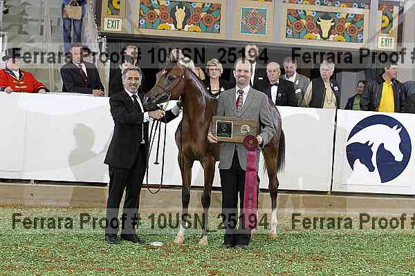 Proof 10usn_25194