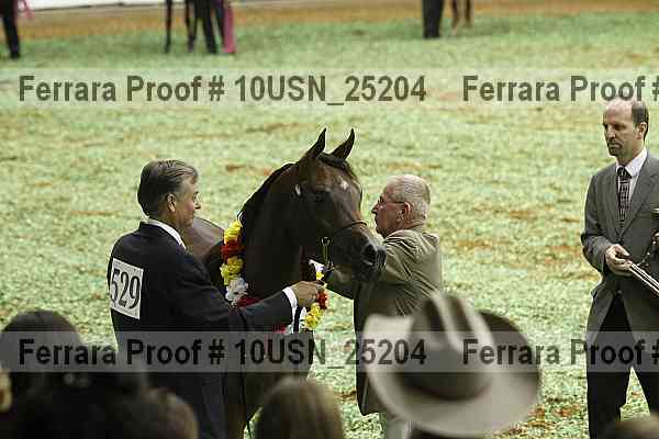 Proof 10usn_25204