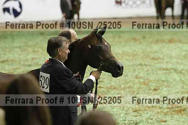 Proof 10usn_25205