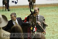 10usn_25206 proof