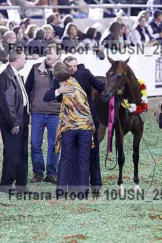 Proof 10usn_25219