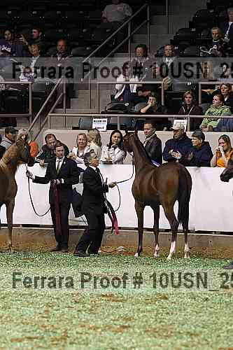 Proof 10usn_25235