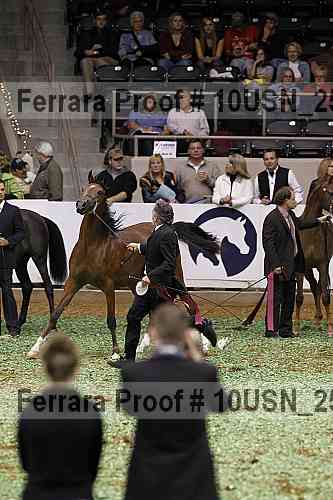 Proof 10usn_25236