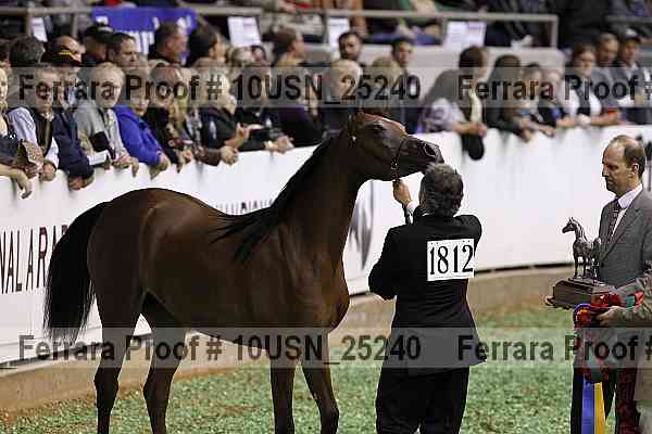 Proof 10usn_25240