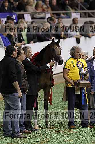 Proof 10usn_25260