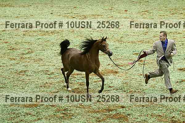 Proof 10usn_25268