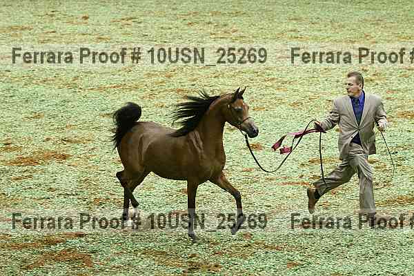Proof 10usn_25269