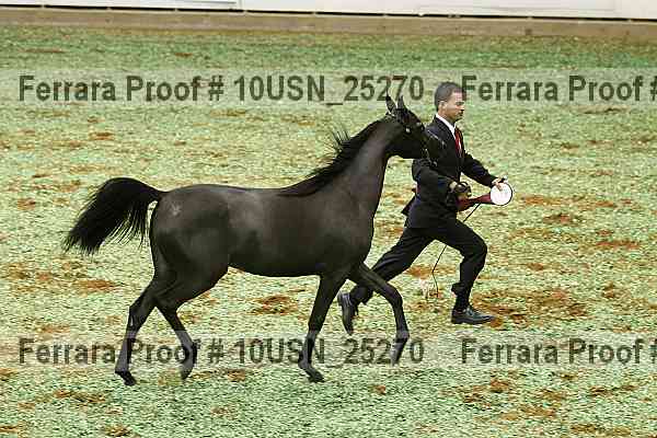 Proof 10usn_25270