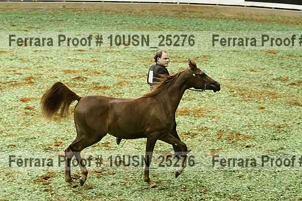 Proof 10usn_25276