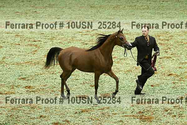 Proof 10usn_25284