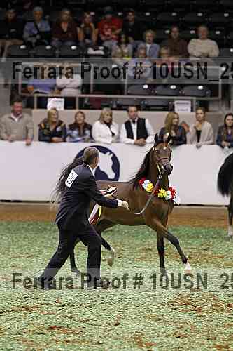 Proof 10usn_25297