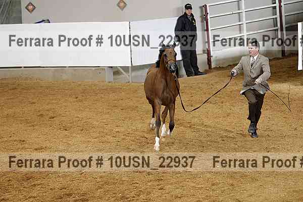 Proof 10usn_22937
