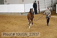 10usn_22937 proof