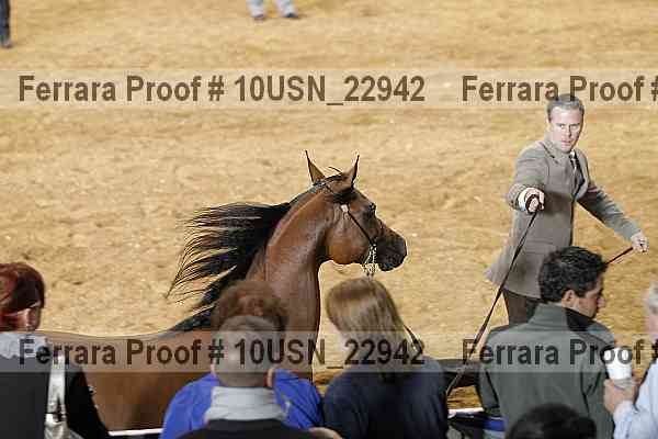 Proof 10usn_22942