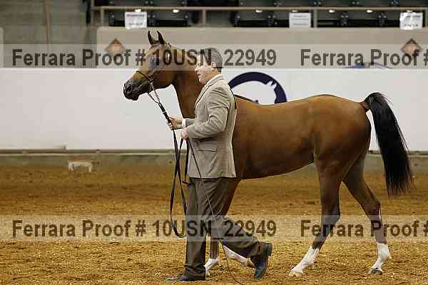 Proof 10usn_22949