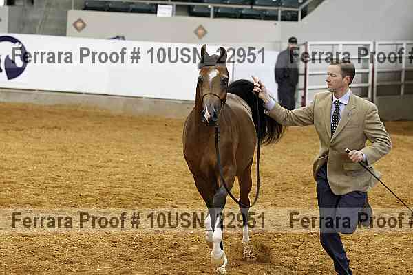 Proof 10usn_22951