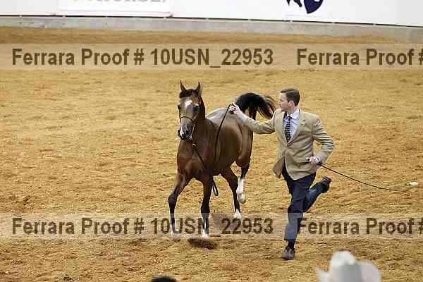 Proof 10usn_22953