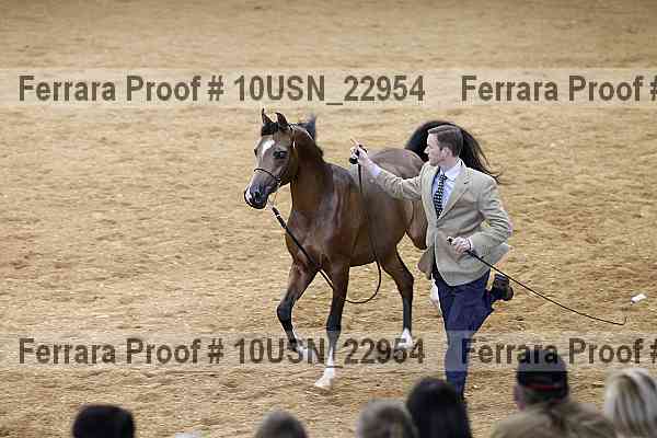 Proof 10usn_22954