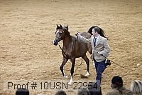 10usn_22954 proof