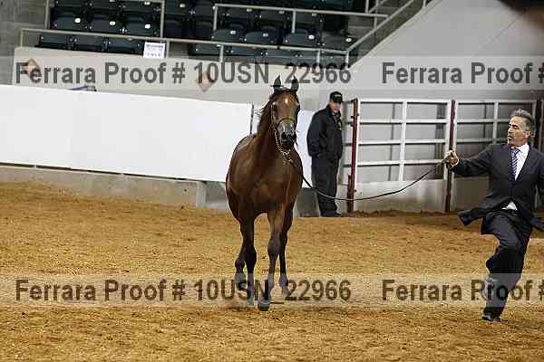 Proof 10usn_22966