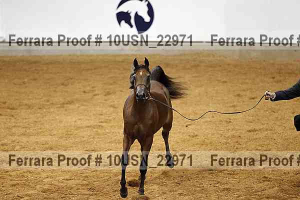 Proof 10usn_22971