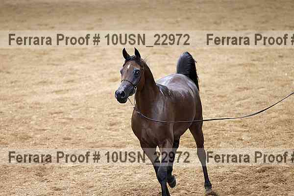 Proof 10usn_22972