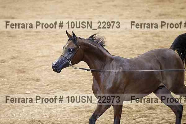 Proof 10usn_22973