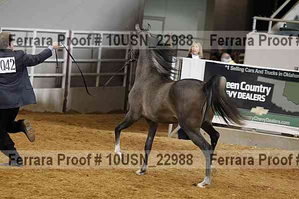 Proof 10usn_22988