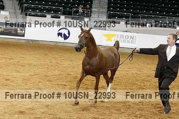 Proof 10usn_22993