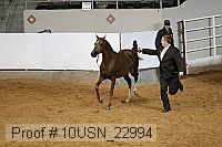 10usn_22994 proof