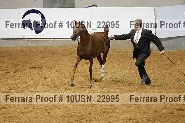 Proof 10usn_22995